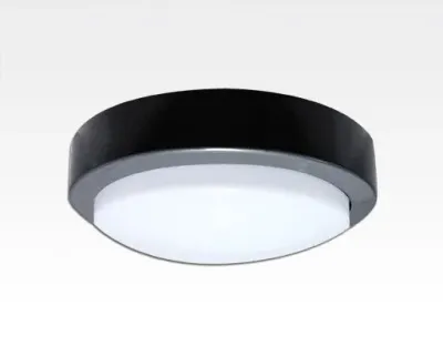 10W LED Wand/Deckenleuchte anthrazit rund Tageslicht Weiß / 6000-6500K 450lm 230VAC IP65 120Grad