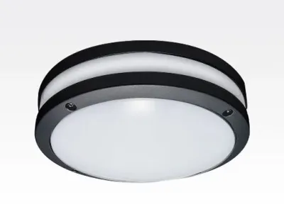 20W LED Wand/Deckenleuchte anthrazit rund Tageslicht Weiß / 6000-6500K 900lm 230VAC IP54 120Grad