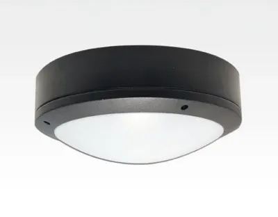 30W LED Wand/Deckenleuchte grau rund Tageslicht Weiß / 6000-6500K 1350lm 230VAC IP65 120Grad