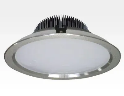 30W LED Einbau Downlight silber rund dimmbar Neutral Weiß / 4000-4500K 3000lm 230VAC IP43 120Grad — Bild 1